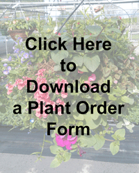 Plant Order Form 2024